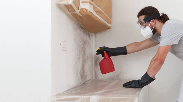 Professional Attic Mold Remediation technician working in Glendora, NJ