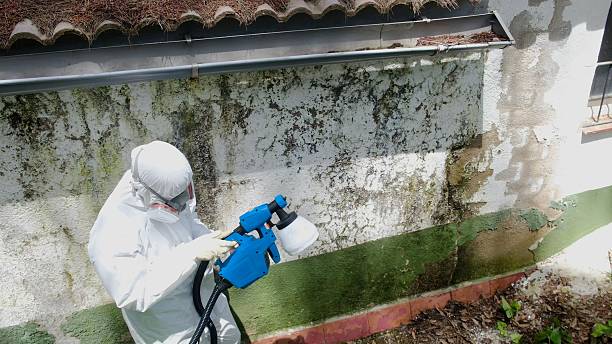 Top rated local Attic Mold Remediation specialists in Glendora, NJ